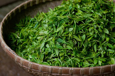 Green tea