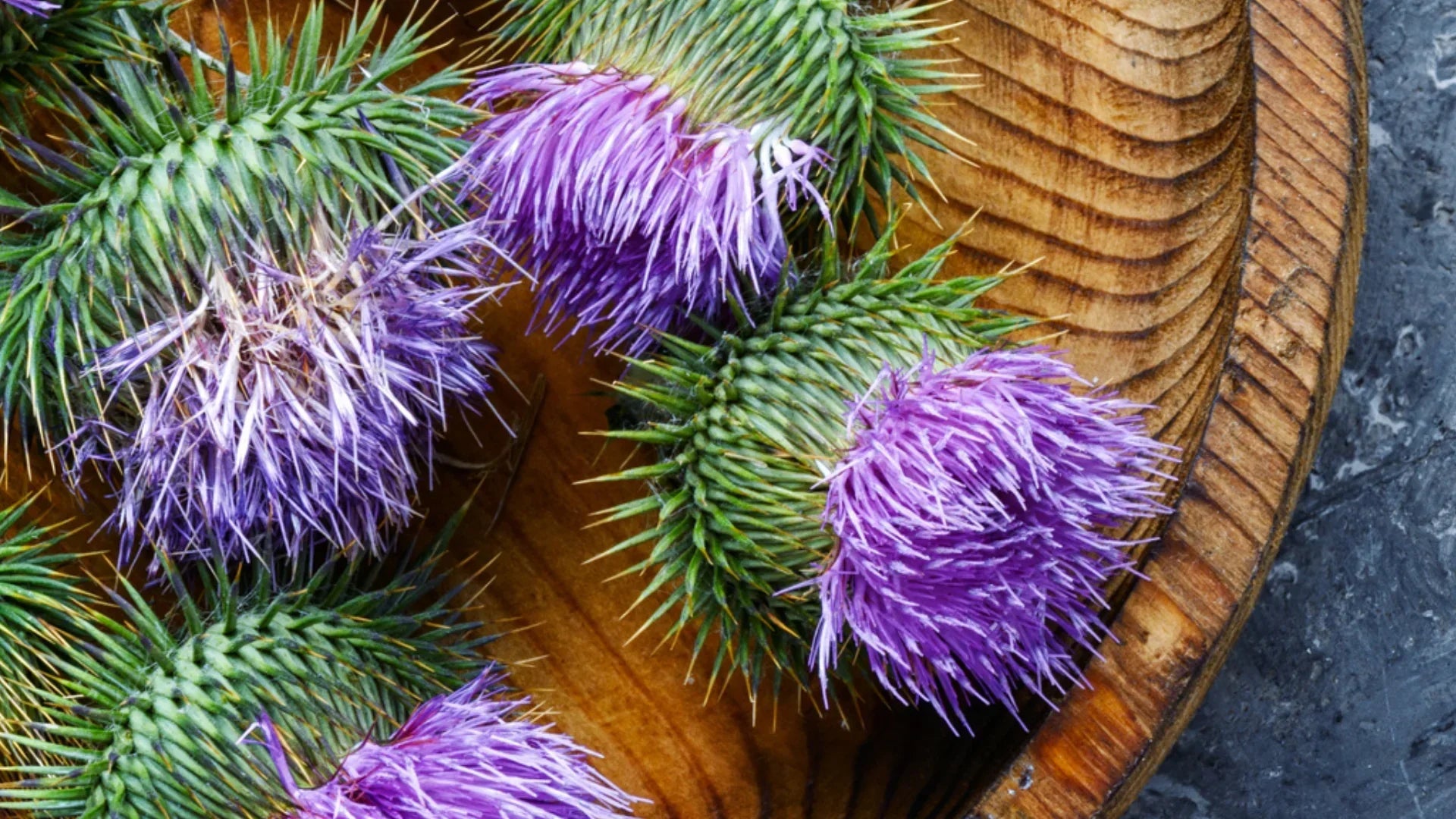 Milk Thistle